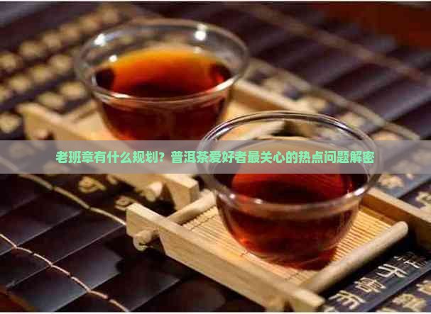 老班章有什么规划
