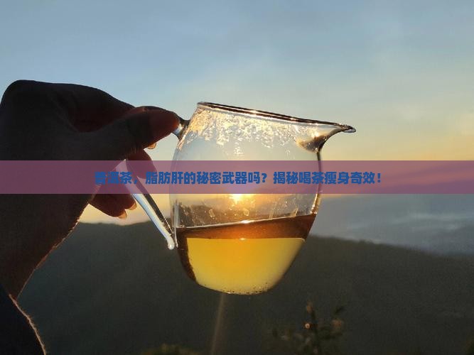 喝普洱茶对脂肪肝