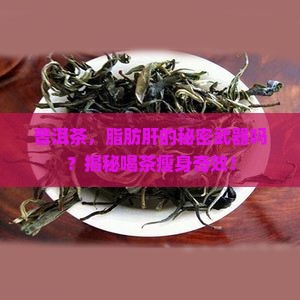 喝普洱茶对脂肪肝