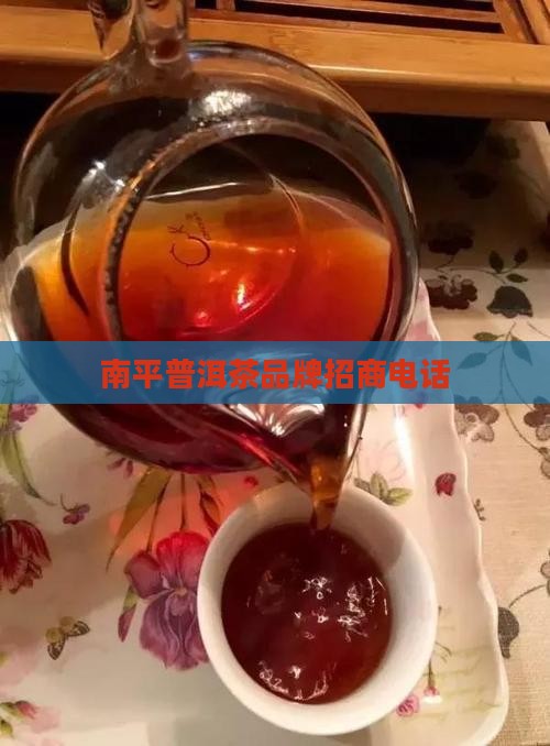 南平普洱茶品牌招商