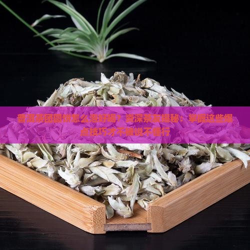 普洱茶团圆饼怎么泡好喝