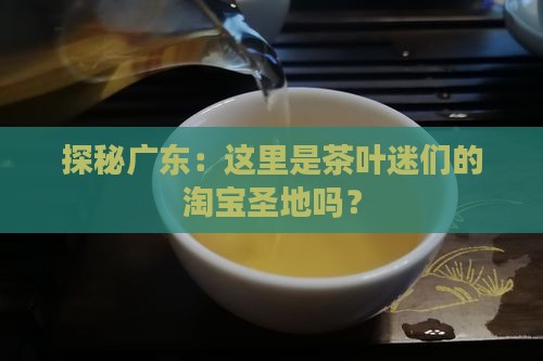 广东最大茶叶批发交易市场