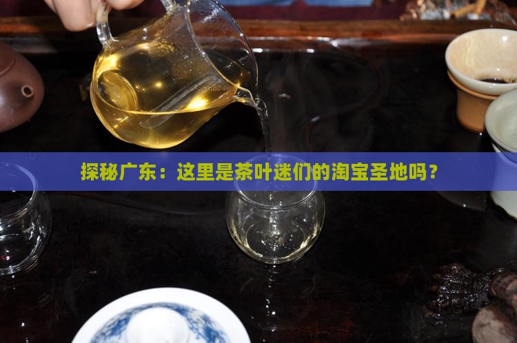 广东最大茶叶批发交易市场