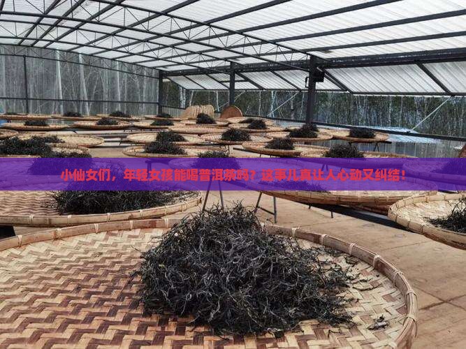 年轻女孩能喝普洱茶嘛好吗