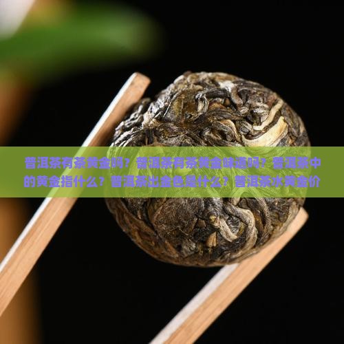 普洱茶有茶黄金