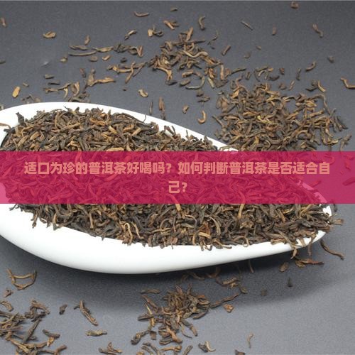 适口为珍的普洱茶好喝吗