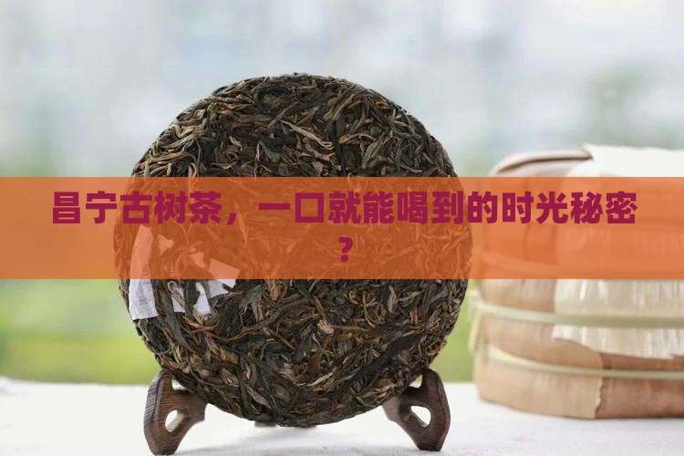昌宁古树茶介绍