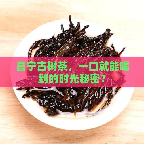 昌宁古树茶介绍