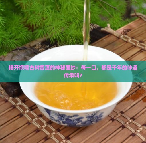 坝糯古树纯料普洱茶