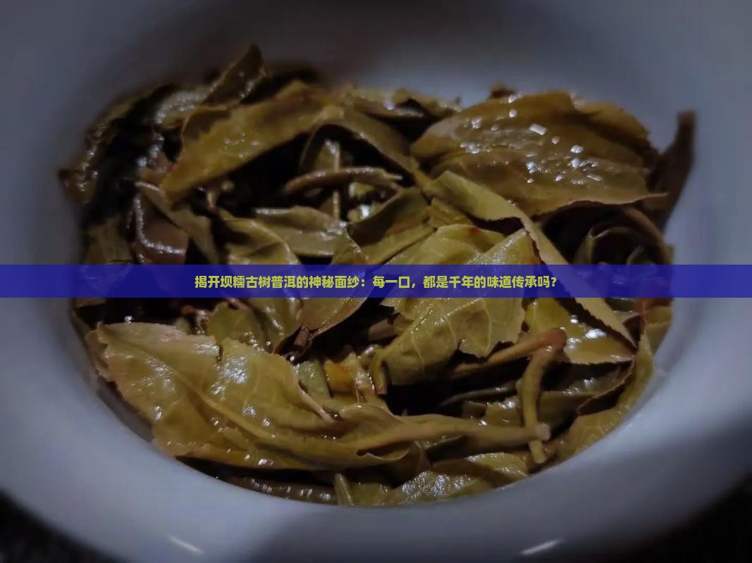 坝糯古树纯料普洱茶