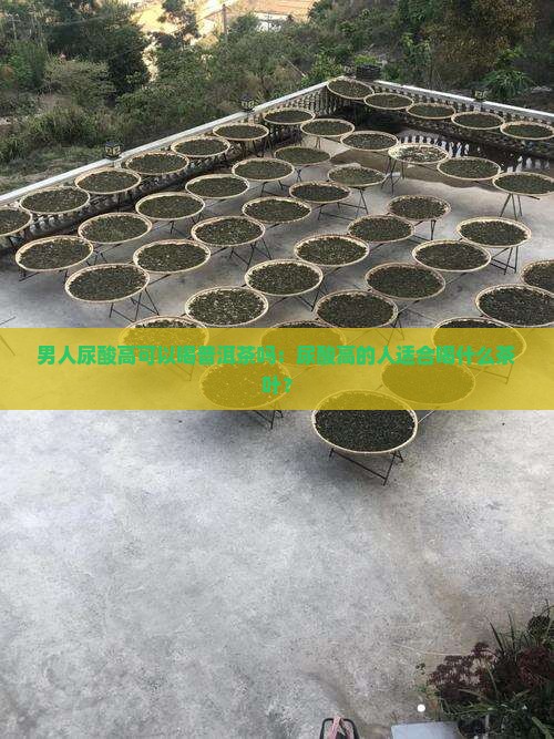 男人尿酸高可以喝普洱茶吗