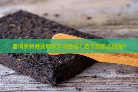 普洱茶如何做到放多少