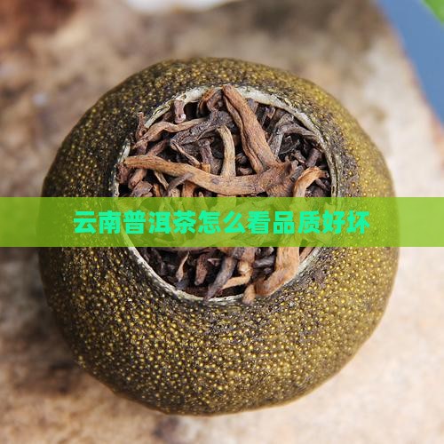 云南普洱茶怎么看