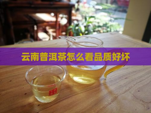 云南普洱茶怎么看