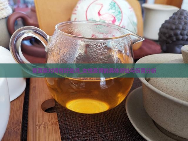 普洱茶对肾有好处吗