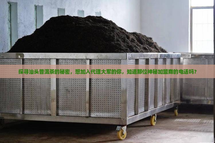 汕头普洱茶加盟代理商电话