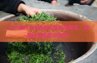 大度港普洱茶紫尊嗯年327克