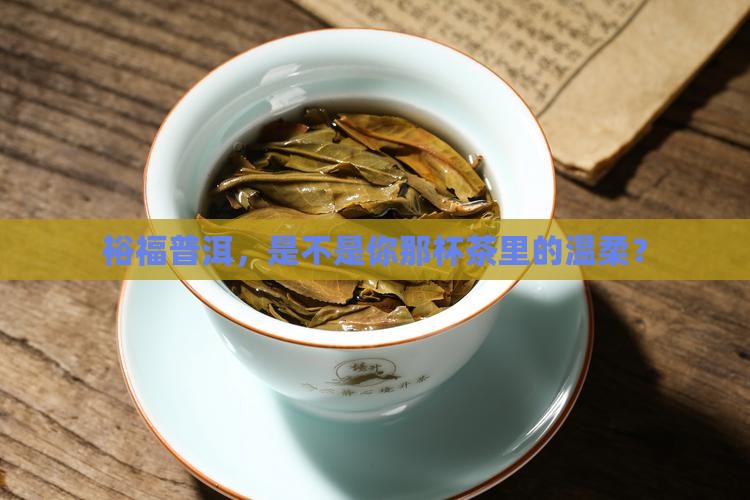 裕福普洱茶怎么样好不好