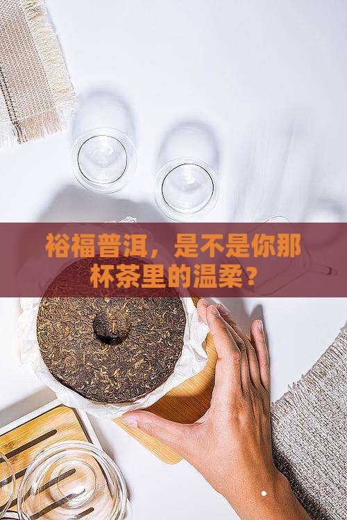 裕福普洱茶怎么样好不好