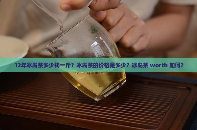 12冰岛茶多少钱一斤