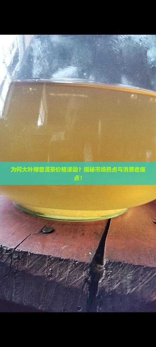 大叶禅普洱茶多少钱