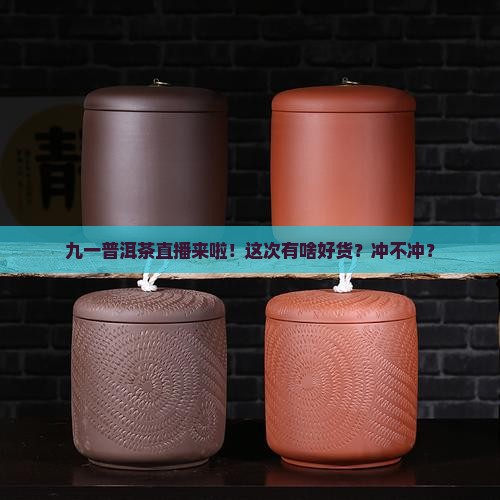 九一普洱茶直播