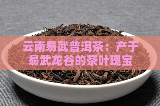 易武龙谷普洱茶