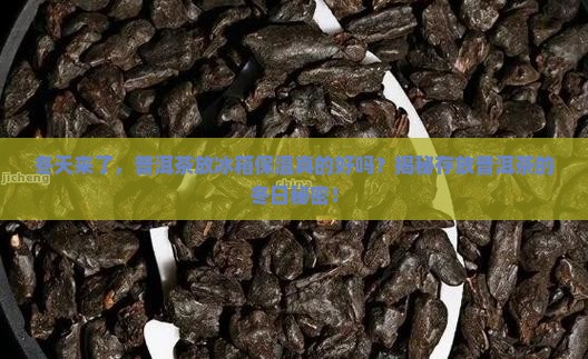 普洱茶能放冰箱保温吗冬天