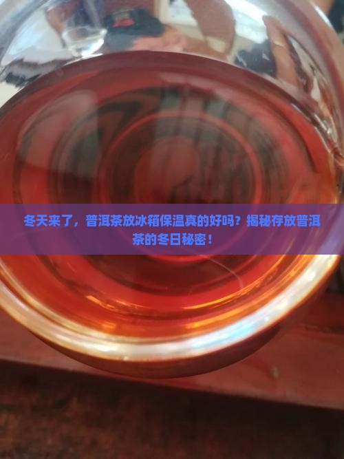 普洱茶能放冰箱保温吗冬天
