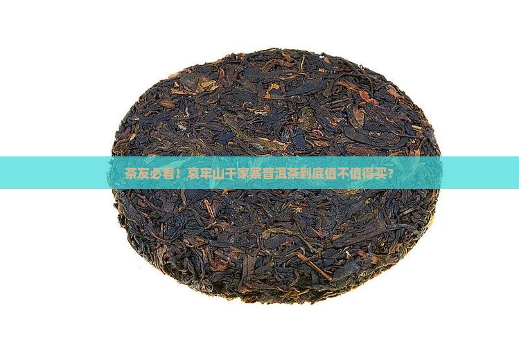 哀牢山千家寨普洱茶