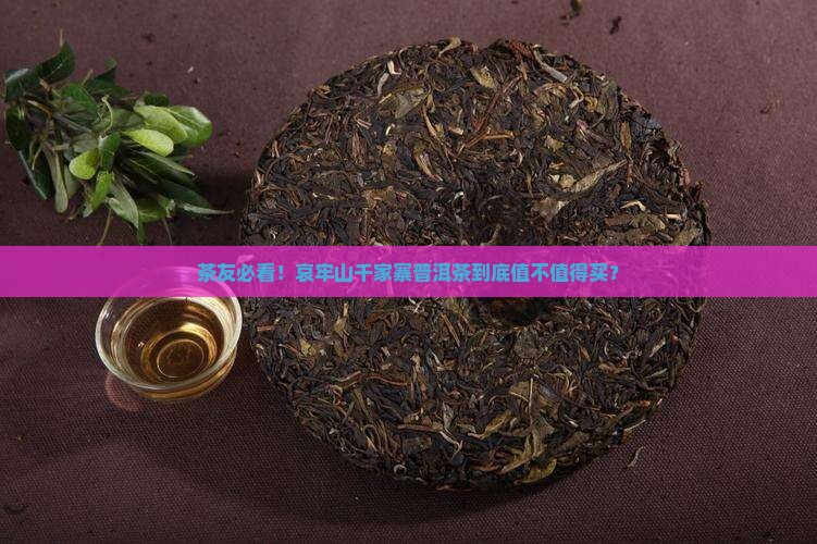 哀牢山千家寨普洱茶