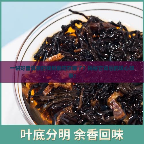 一饼好普洱茶的成本