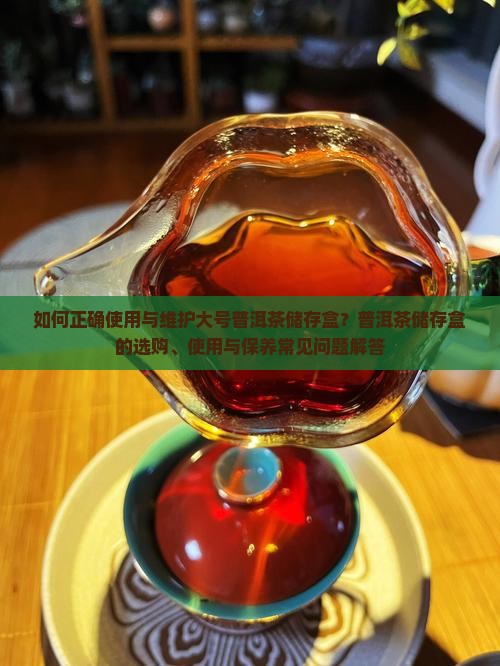 大号普洱茶储存盒怎么用