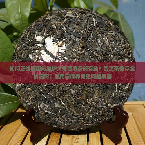 大号普洱茶储存盒怎么用