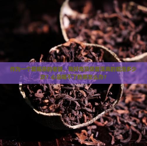 好的普洱茶能泡几次
