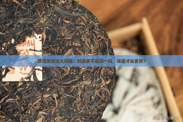 泡普洱茶用不用闷