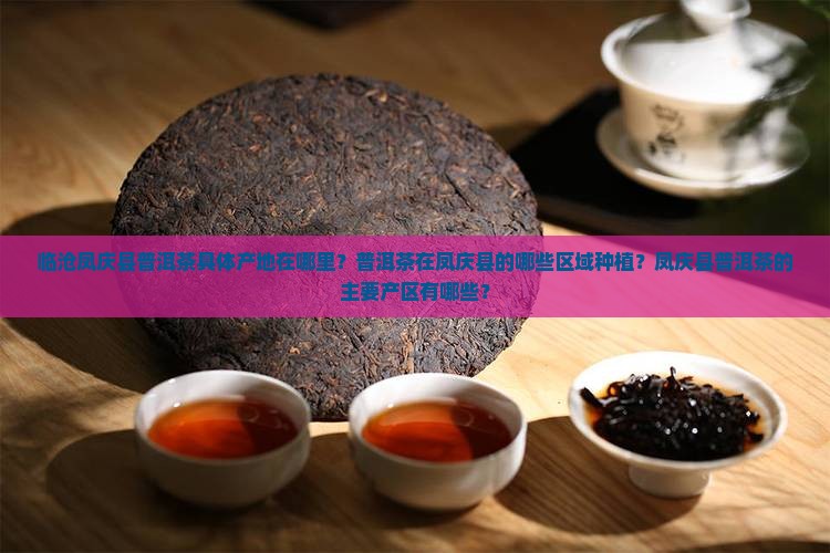 临沧凤庆县普洱茶产地是哪里