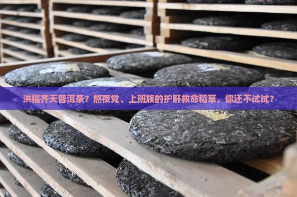 洪福齐天普洱茶