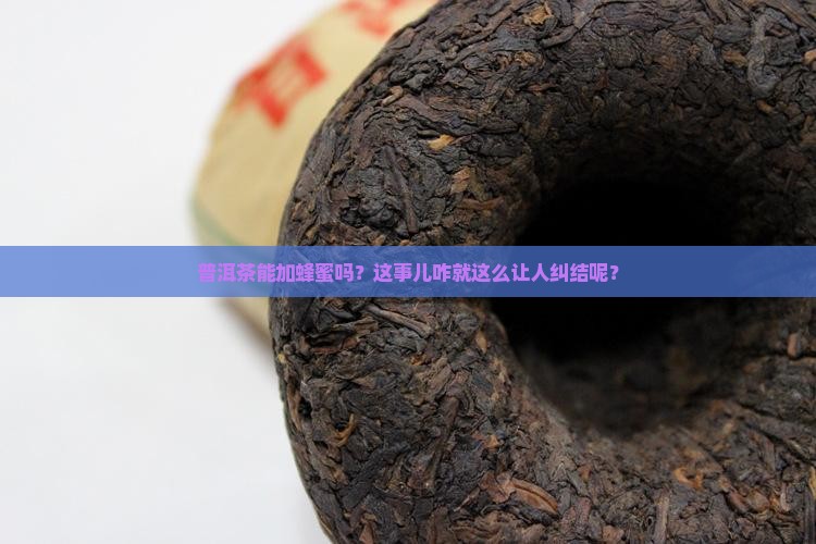 普洱茶能不能加蜜