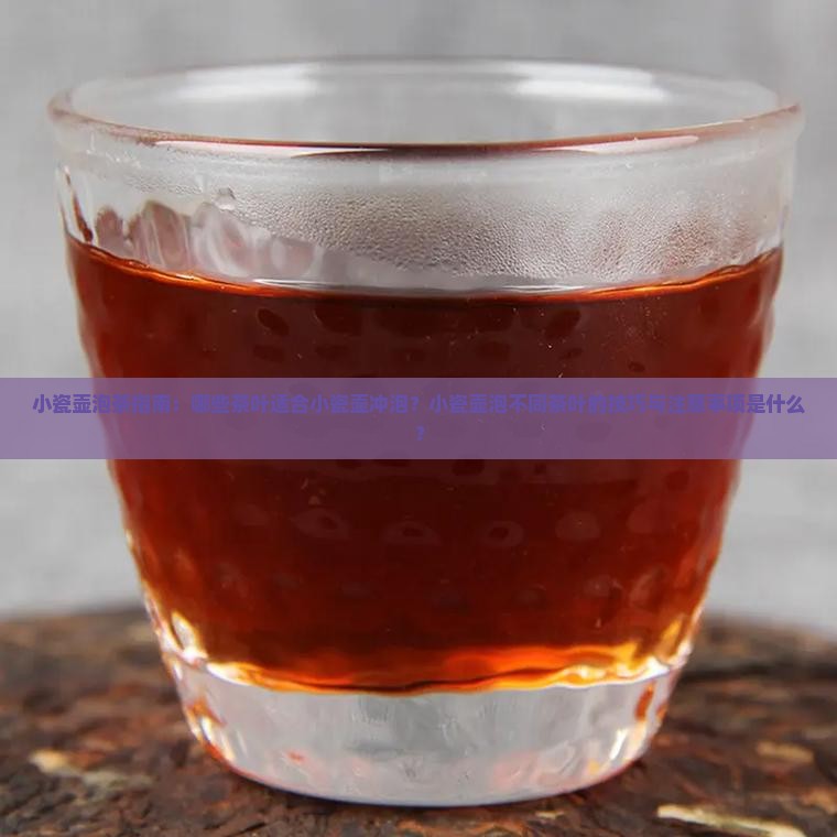 小瓷壶适合泡什么茶