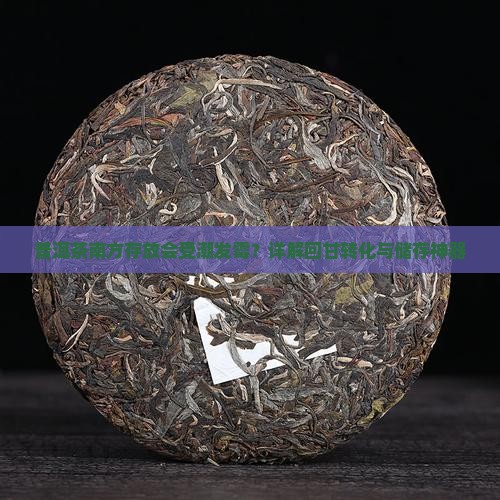 普洱茶南方存放