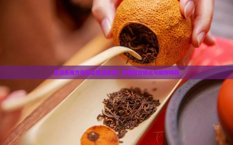 普洱茶南方存放