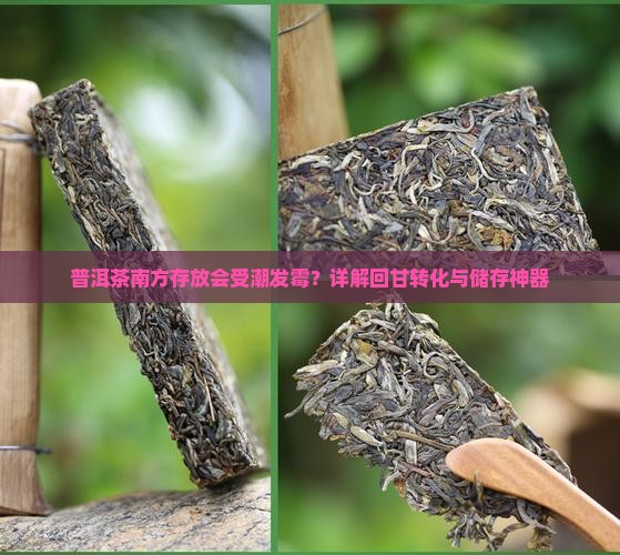 普洱茶南方存放