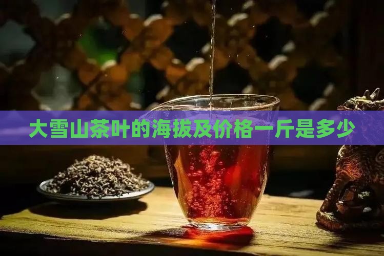 大雪山茶叶的海拔