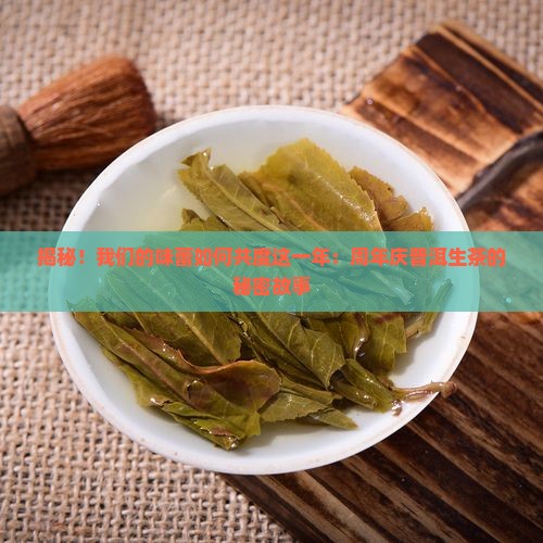 周年庆普洱茶生茶