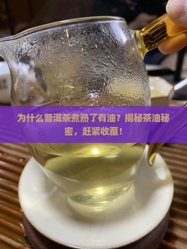 普洱茶煮熟了有油