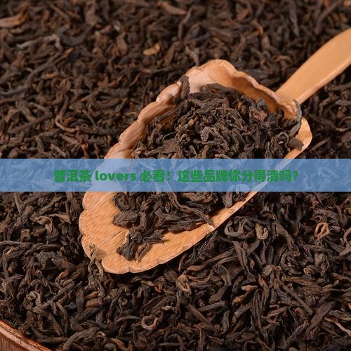 普洱茶分类品牌