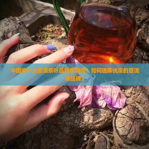 中国十大普洱茶叶品牌 中国十大普洱茶叶品牌