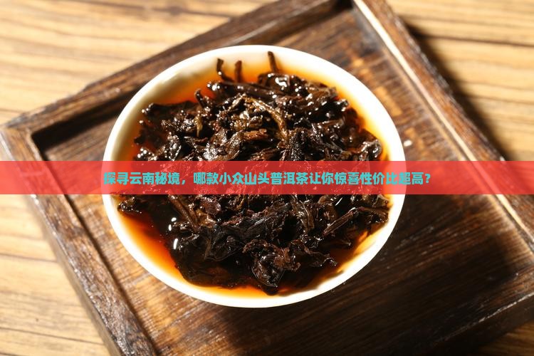 云南性价比高的小众山头普洱茶