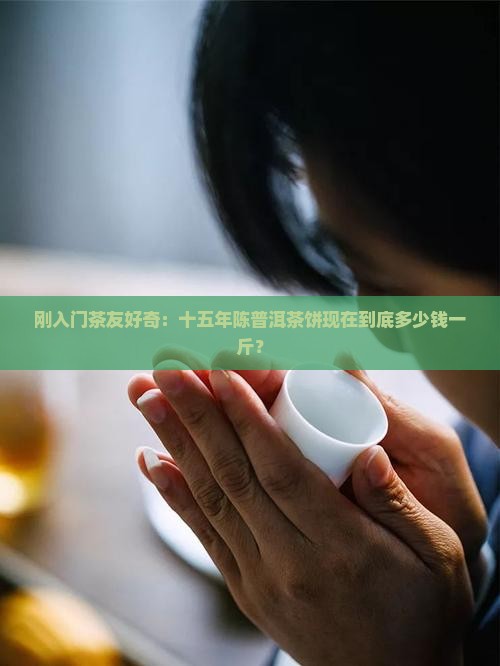 十五年普洱茶饼多少钱一斤 十五年普洱茶饼多少钱一斤